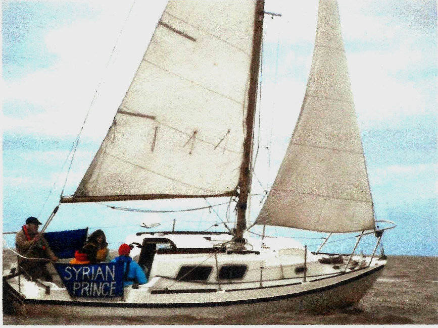 Seamaster Sailer 23for sale Sailing - Owner's photo