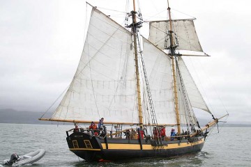 Classic Schooner Pickle for sale