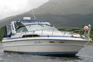 Sea Ray 340 for sale