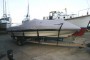 Bayliner Capri 2050 The boat on her trailer under her storage cover