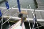 Bavaria 30 Cruiser Foredeck view