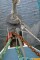 Westerly Discus 33 Bow roller and anchor