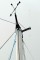 Westerly Discus 33 Mast head